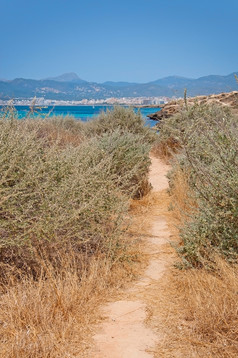 自然沿海夏天景观与污垢路径通过干草本植物和水晶蓝色的海洋棕榈马略卡岛西班牙自然沿海夏天景观