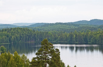 森林景观和宁静的湖灰色的夏天下午7月南瑞典森林景观和宁静的湖