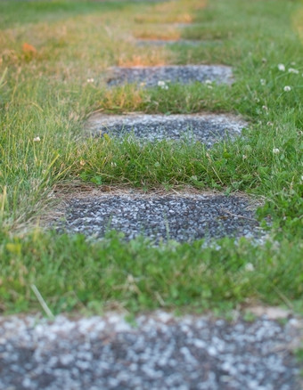 石头步骤通过绿色草阳光明媚的晚上瑞典石头步骤通过绿色草