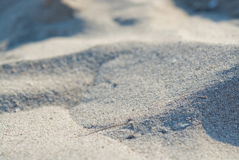 阳光照射的桑迪海滩谷物宏特写镜头背景纹理阳光照射的桑迪海滩谷物宏