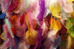 色彩斑斓的羽毛集合特写镜头粉红色的橙色黄色的紫色的蓝色的颜色背景纹理色彩斑斓的羽毛集合特写镜头
