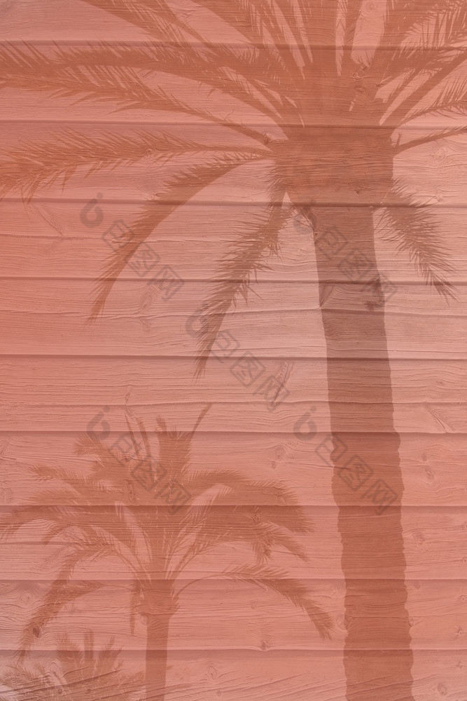 棕榈树阴影木木板路木板背景纹理健美的趋势颜色生活珊瑚棕榈树阴影木木板路木板