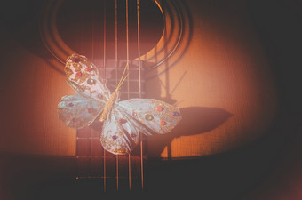 绿松石蝴蝶字符串声吉他概念为诗歌乐感歌手作曲家创造力健美的生活珊瑚温暖的红色的阴影绿松石蝴蝶字符串声吉他生活珊瑚阴影