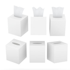 集白色空白广场大小餐巾组织盒子与剪裁路径模拟包装为你的设计而且艺术作品