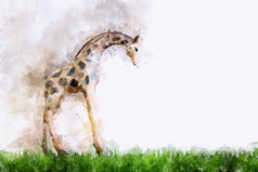 数字绘画长颈鹿水彩风格
