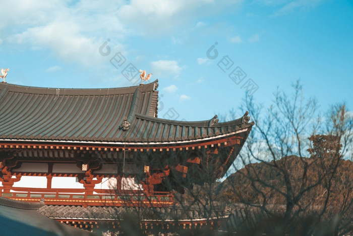 凤凰城大厅建筑白嘌呤寺庙著名的佛教寺庙测试城市《京都议定书》日本