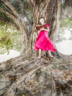 年轻的孩子阅读发光的书下一个树