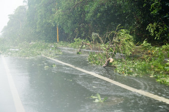 Debri阻塞路在<strong>台风</strong>