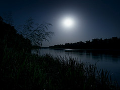 晚上景观与森林河不月光长曝光