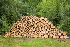 堆栈木木堆放为干燥的柴堆的绿色草地