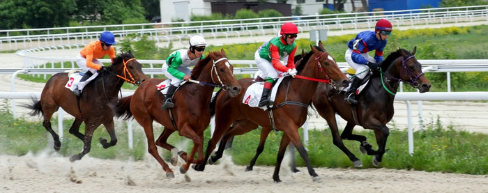皮亚季戈尔斯克俄罗斯五月马比赛为的试验奖皮亚季戈尔斯克hippodrome的最古老的和最大俄罗斯