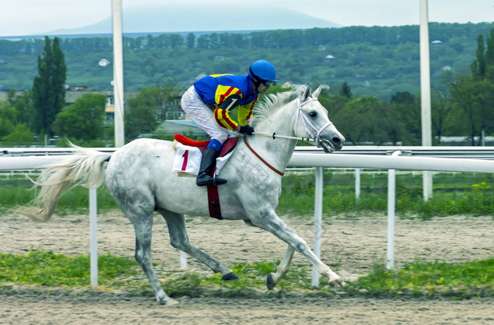 皮亚季戈尔斯克俄罗斯五月马比赛的胜利奖hippodrome皮亚季戈尔斯克赢家骑师tikhonov尤里和灰色种马钻石