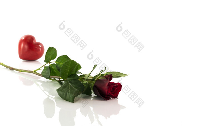 红色的玫瑰与心形状isoalted白色