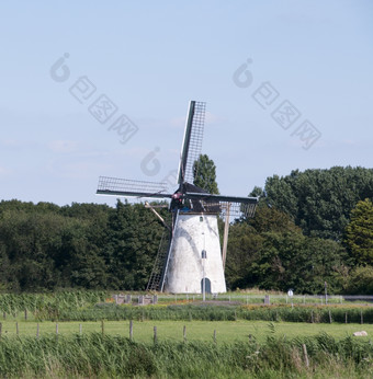 老白色风车的荷兰的地方新文霍恩