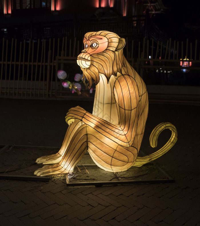 rhenen荷兰12月- - -中国人光节日的动物园手荷兰这中国人光节日显示的世界的中国人文化与的开始新一年中国人光节日与猴子