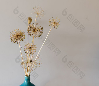 美丽的<strong>干花</strong>的洋葱灯泡葱属植物蓝色的花瓶哪一个站木橱柜美丽的<strong>干花</strong>的洋葱灯泡