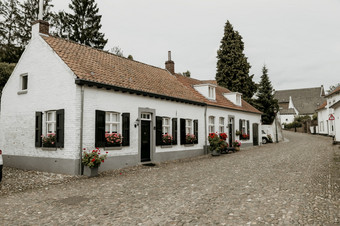 街的历史城市刺林堡省的荷兰已知的为它的白色房子也被称为的白色城市是画白色因为税规则的古老的次的白色城市刺的荷兰