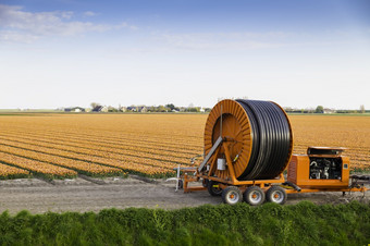橙色郁金香字段的荷兰与水灌溉系统的前景那可以泵水从的沟为灌溉