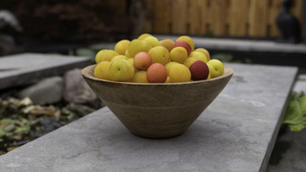 木碗与新鲜的杏子花园与水和Zen大气木碗与新鲜的杏子