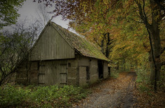 老破旧的木精品与平铺的屋顶农场流沿着路径的森林与美丽的秋天颜色橙色红色的和绿色老农场秋天森林荷兰