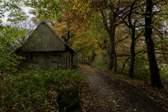 老破旧的木精品与平铺的屋顶农场流沿着路径的森林与美丽的秋天颜色橙色红色的和绿色