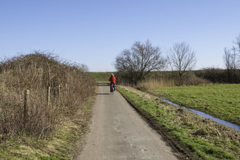 女人红色的外套自行车自然的岛岛上的荷兰自然储备女人自行车荷兰荷兰自然冬天