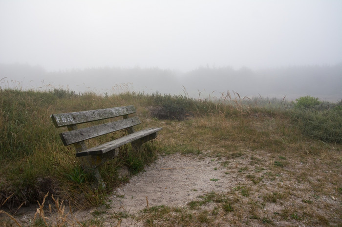木板凳上安静的有雾的森林图片