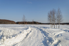 冬天景观国家路雪场阳光明媚的一天弗拉基米尔•地区俄罗斯