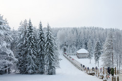 行人木通道与楼梯通过松柏科的森林的开放空气博物馆马利耶科莱附近阿尚格列斯克俄罗斯树覆盖与白霜冷淡的冬天一天