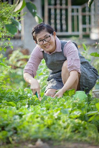 西安女人种植有机蔬菜首页花园