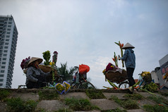 河内越南11月越南女人安排花自行车篮子为销售色彩斑斓的花被市场河内越南