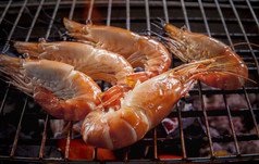 虾虾烤烧烤火炉子