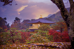 金阁寺寺庙寺庙的金展馆《京都议定书》日本一个大多数受欢迎的旅行目的地