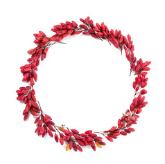秋天背景红色的浆果花环的白色背景秋天概念