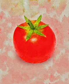 水彩番茄孤立的彩色的背景