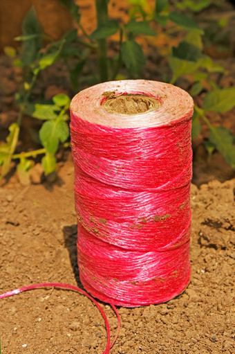 线圈与合成粉红色的线程的土壤线程领带各种各样的培养植物