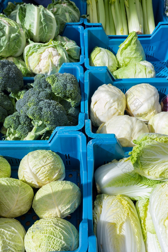 分类绿色与白色卷心菜蔬菜蓝色的板条箱市场