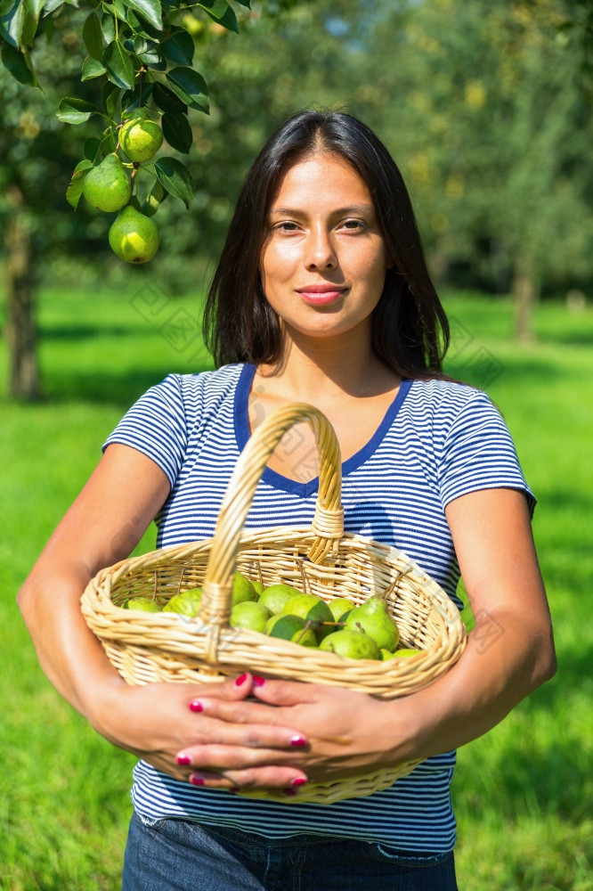 欧洲女人持有柳条篮子填满与绿色梨果园