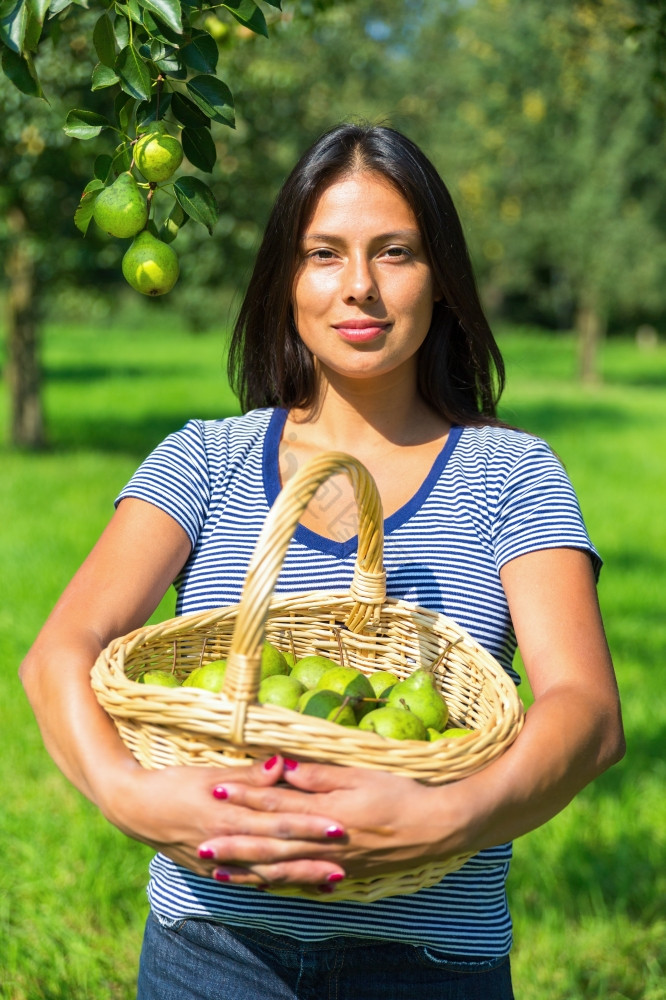 欧洲女人持有柳条篮子填满与梨果园