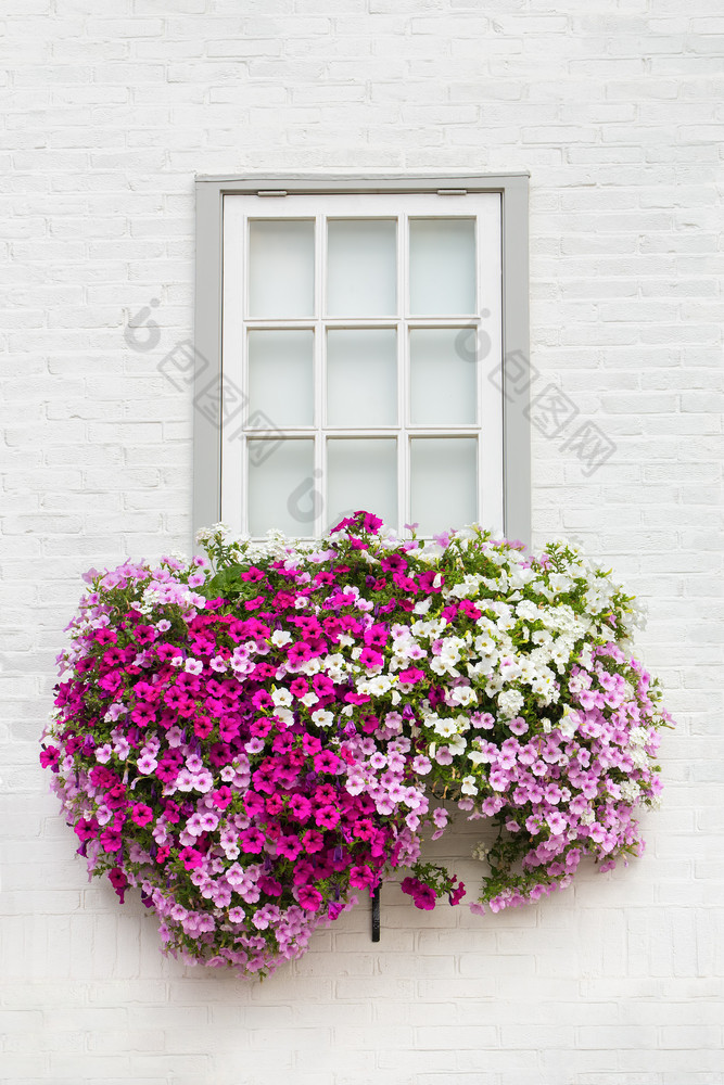 白色砖墙与一个窗口和花花盒子