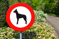 荷兰交通标志被禁止的走与狗这区域