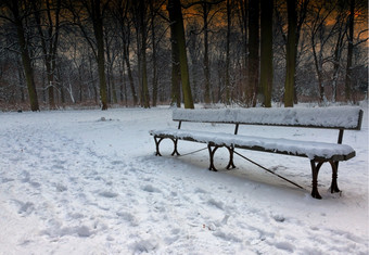 单撒与雪板凳上lazienki<strong>皇家公园</strong>华沙背景树和的红色的晚上天空水平视图
