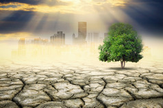 景观树与的改变环境概念气候改变概念气候改变