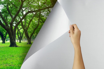 改变概念女人手把空白纸页面树花园环境友好的改变现实希望灵感环境保护改变天气环境运动污染改变概念