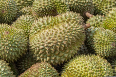 榴莲王水果水果泰国特征的气味是强烈的榴莲