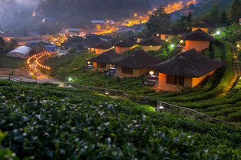 早....茶种植园<strong>禁止</strong>癌症泰国中国人结算美在香港儿子省北部泰国日出<strong>禁止</strong>癌症泰国