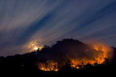 森林火野火燃烧树山与红色的和橙色颜色晚上的森林晚上北泰国森林火野火