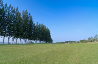 高尔夫球课程与球道树和蓝色的天空高尔夫球课程