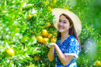 美丽的女人微笑幸福的旅行有机橙色花园与很多新鲜的橙色水果有机橙色花园