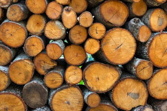 纹理木减少桩柴火堆放和准备为的冬天柴火为的冬天